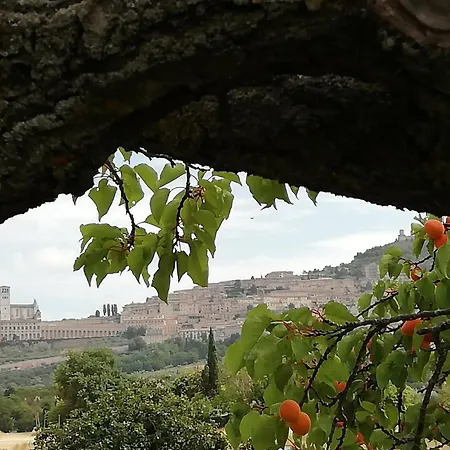 Assisi - Maristella Lägenhet *
